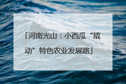 河南光山：小西瓜“撬动”特色农业发展路