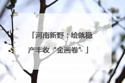 河南新野：绘就稳产丰收“金画卷”