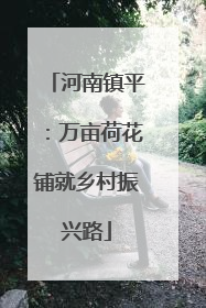 河南镇平：万亩荷花铺就乡村振兴路