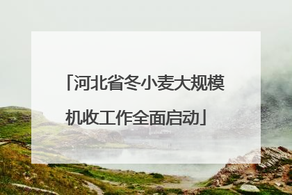 河北省冬小麦大规模机收工作全面启动
