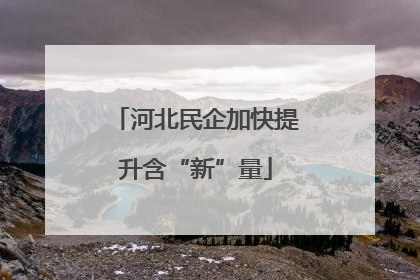 河北民企加快提升含“新”量
