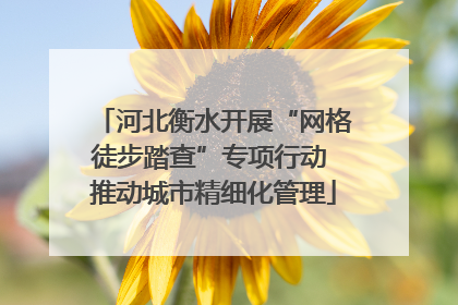 河北衡水开展“网格徒步踏查”专项行动 推动城市精细化管理