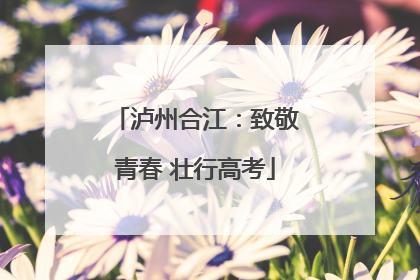 泸州合江：致敬青春 壮行高考