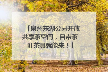 泉州东湖公园开放共享茶空间，自带茶叶茶具就能来！