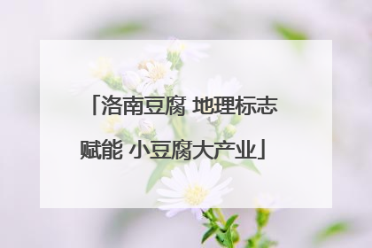 洛南豆腐 地理标志赋能 小豆腐大产业