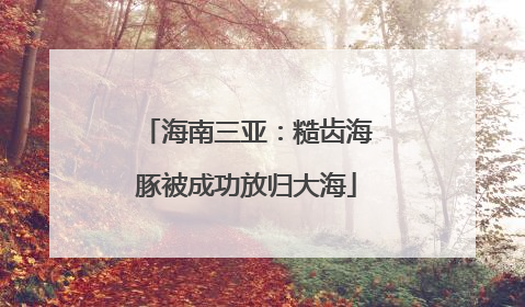 海南三亚：糙齿海豚被成功放归大海