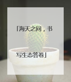 海天之间，书写生态答卷