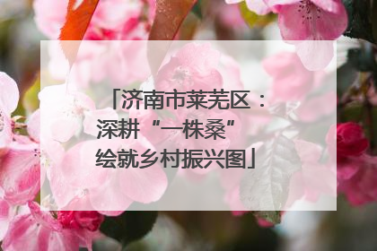 济南市莱芜区：深耕“一株桑” 绘就乡村振兴图