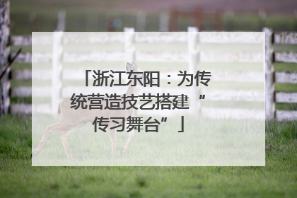 浙江东阳：为传统营造技艺搭建“传习舞台”