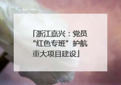 浙江嘉兴：党员“红色专班”护航重大项目建设