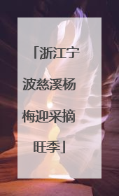 浙江宁波慈溪杨梅迎采摘旺季