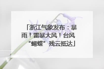浙江气象发布：暴雨！雷暴大风！台风“蝴蝶”残云抵达