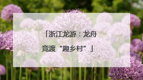 浙江龙游：龙舟竞渡“趣乡村”