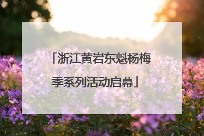浙江黄岩东魁杨梅季系列活动启幕