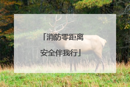 消防零距离 安全伴我行