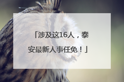 涉及这16人，泰安最新人事任免！