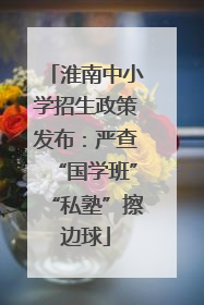 淮南中小学招生政策发布：严查“国学班”“私塾”擦边球