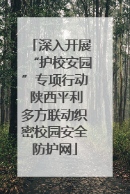 深入开展“护校安园”专项行动 陕西平利多方联动织密校园安全防护网