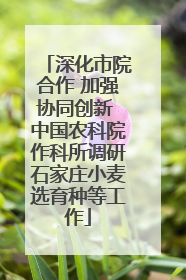 深化市院合作 加强协同创新 中国农科院作科所调研石家庄小麦选育种等工作
