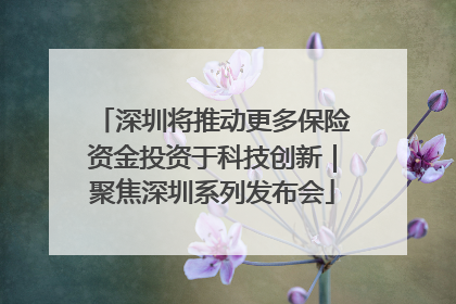 深圳将推动更多保险资金投资于科技创新｜聚焦深圳系列发布会
