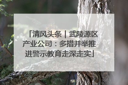 清风头条｜武陵源区产业公司：多措并举推进警示教育走深走实