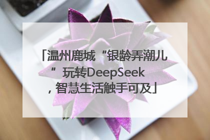 温州鹿城“银龄弄潮儿”玩转DeepSeek，智慧生活触手可及