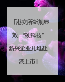 港交所新规显效 “硬科技”新兴企业扎堆赴港上市