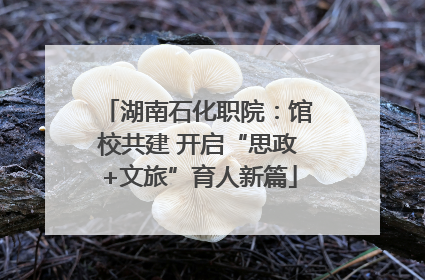 湖南石化职院：馆校共建 开启“思政+文旅”育人新篇