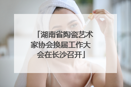 湖南省陶瓷艺术家协会换届工作大会在长沙召开