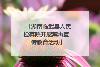 湖南临武县人民检察院开展禁毒宣传教育活动