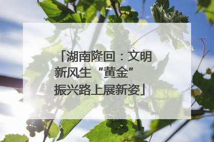湖南隆回：文明新风生“黄金” 振兴路上展新姿