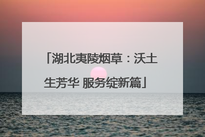 湖北夷陵烟草：沃土生芳华 服务绽新篇