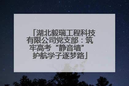 湖北毅瑞工程科技有限公司党支部：筑牢高考“静音墙” 护航学子逐梦路