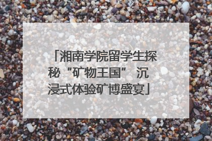 湘南学院留学生探秘“矿物王国” 沉浸式体验矿博盛宴