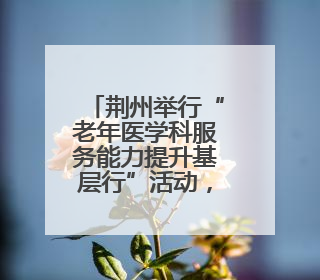 荆州举行“老年医学科服务能力提升基层行”活动，构建三级联动健康网