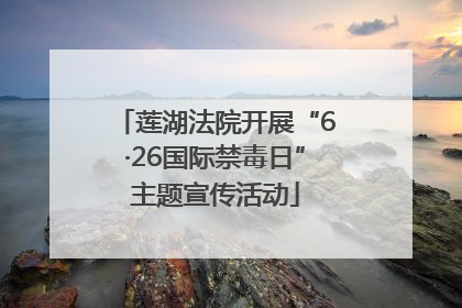 莲湖法院开展“6·26国际禁毒日”主题宣传活动