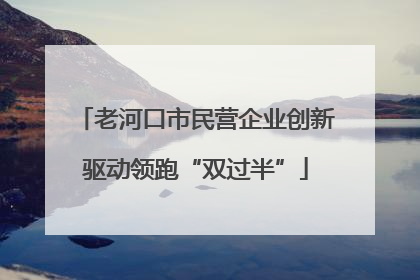 老河口市民营企业创新驱动领跑“双过半”