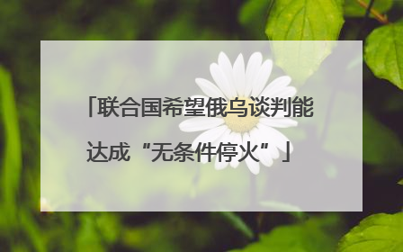 联合国希望俄乌谈判能达成“无条件停火”