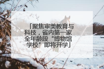 聚焦审美教育与科技，省内第一家全年龄段“博物馆学校”即将开学