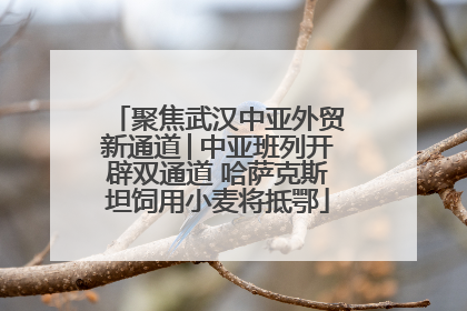 聚焦武汉中亚外贸新通道│中亚班列开辟双通道 哈萨克斯坦饲用小麦将抵鄂