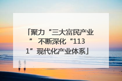 聚力“三大富民产业” 不断深化“1131”现代化产业体系