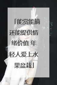 能赏能摘还能提供情绪价值 年轻人爱上水果盆栽