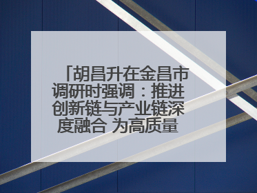 胡昌升在金昌市调研时强调：推进创新链与产业链深度融合 为高质量发展塑造新动能新优势