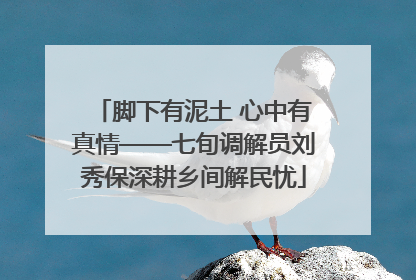 脚下有泥土 心中有真情——七旬调解员刘秀保深耕乡间解民忧