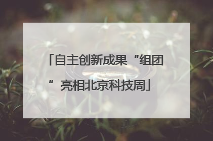 自主创新成果“组团”亮相北京科技周