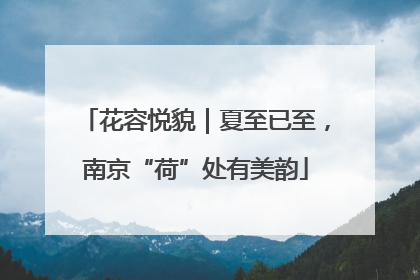 花容悦貌｜夏至已至，南京“荷”处有美韵