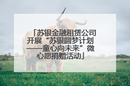 苏银金融租赁公司开展“苏银圆梦计划——童心向未来”微心愿捐赠活动