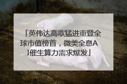 英伟达高歌猛进重登全球市值榜首，微美全息AI催生算力需求爆发