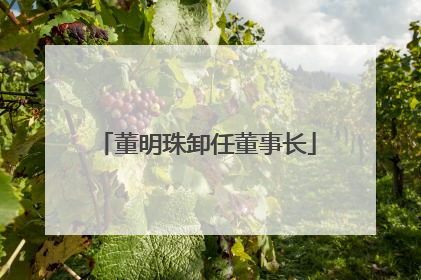 董明珠卸任董事长