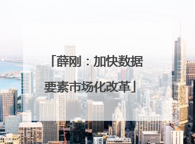 薛刚：加快数据要素市场化改革